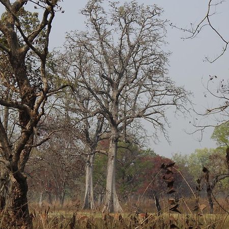 Babai Resort Pvt Ltd Bardiya Extérieur photo