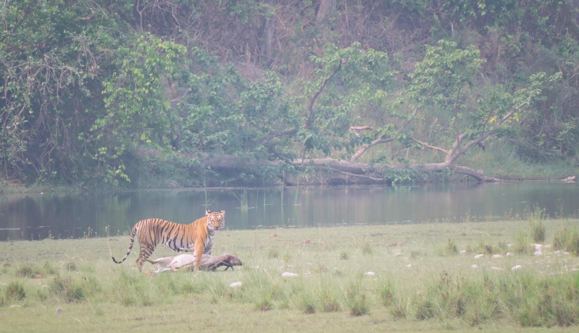 Babai Resort Pvt Ltd Bardiya Extérieur photo