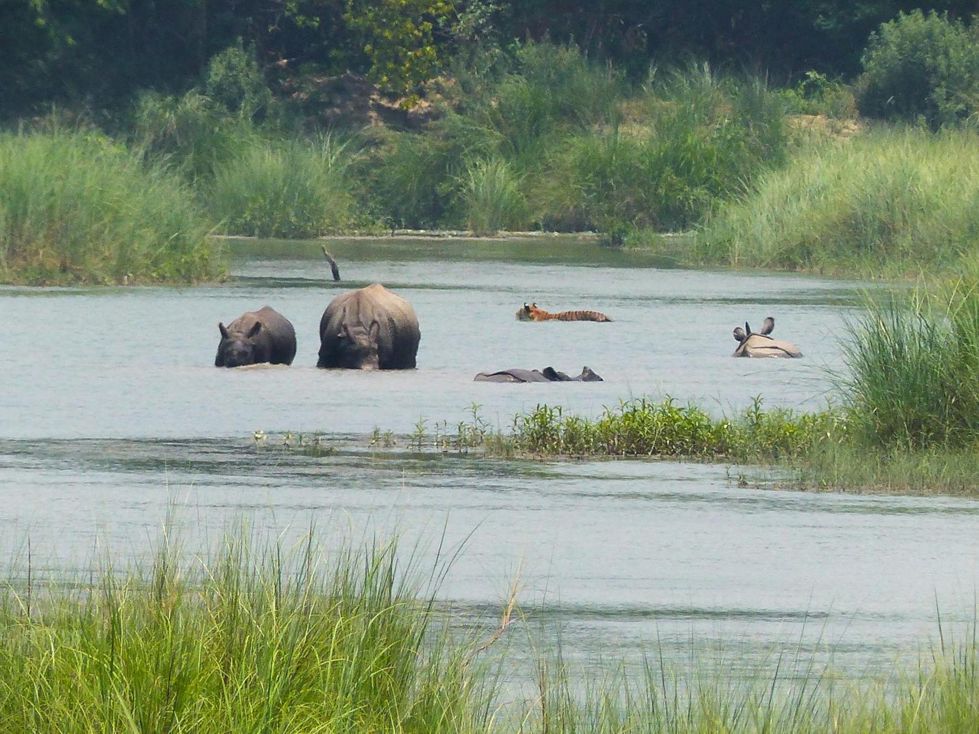 Babai Resort Pvt Ltd Bardiya Extérieur photo
